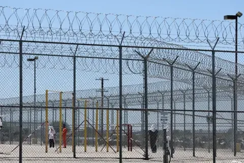 Punjabi Elderly Woman's Arrest by American Border Authorities Ignites Public Anger